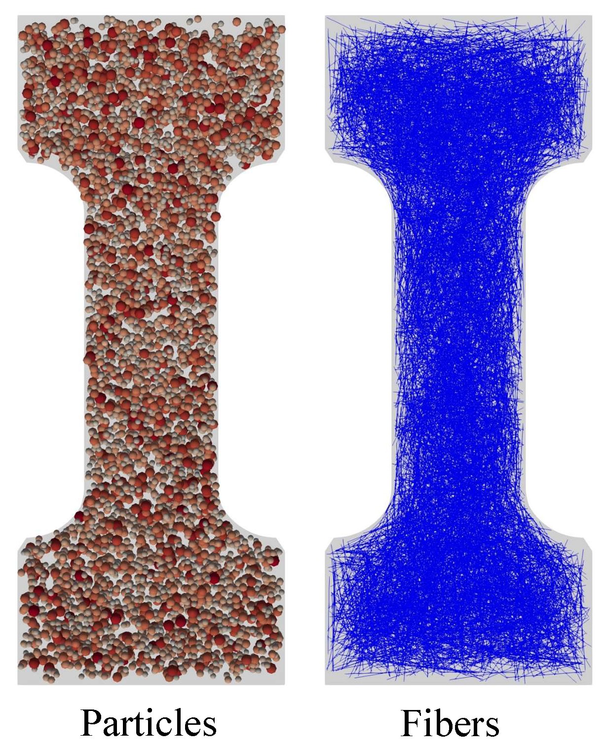 1a.jpg